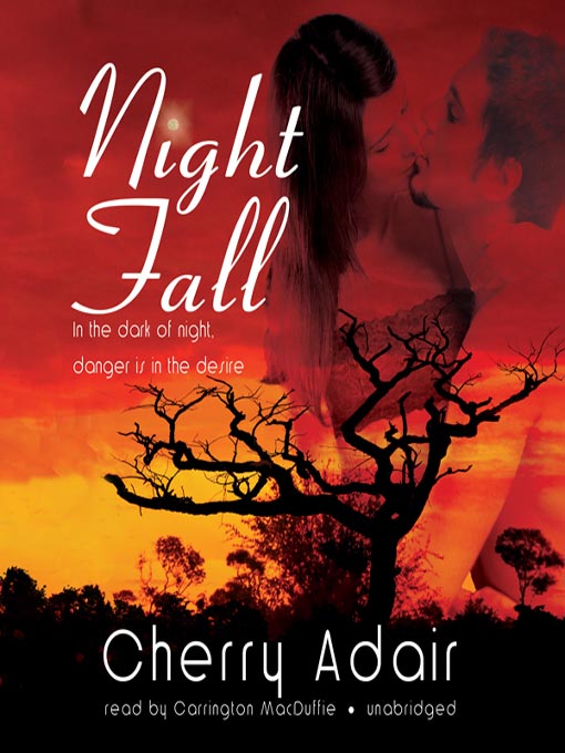 Title details for Night Fall by Cherry Adair - Wait list